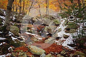 Stream and landscape of Santa Fe valley in Montseny Natural Park in autumn, Spain