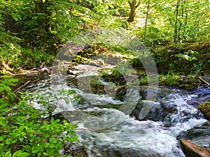 Stream landscape. Stream Jasenica, Teslic, Bosnia and Herzegovina.