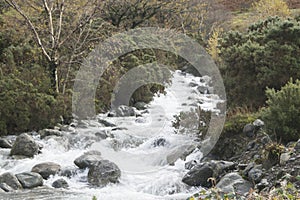 Stream leading down to a Lake