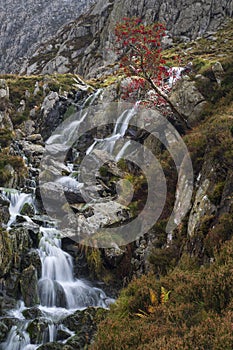 Stream from Llyn Bochlwyd