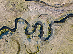A stream meanders through a green valley, with natural twists and curves. Meandering watercourse Top view. Aerial view