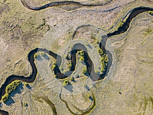 A stream meanders through a green valley, with natural twists and curves. Meandering watercourse Top view. Aerial view