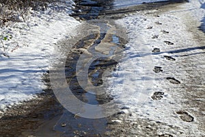 Stream of melted snow on a path with shoeprints