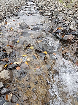 A stream of meltwater flowing down a mountain road