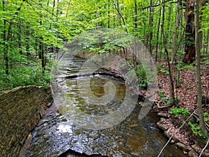 Stream in the middle of the woods of the Cleveland Metroparks in Ohio