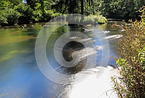 A stream at Milham park in Michigan