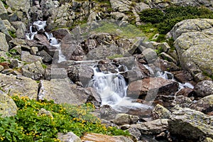 Stream in Mlynicka Valley, Slovakia