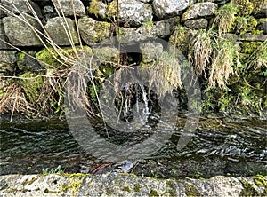 Stream, by a moss covered dry stone wall on, Rowland Lane, Hebden Bridge, UK