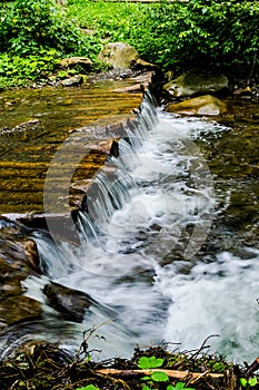 Stream of a mountain brook in the Carpathians