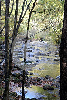 Stream in the Mountains