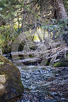 Stream in the Mountains Ironton Colorado 1