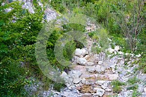 Stream in the mountains