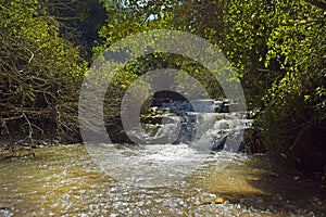 Stream Nahal Hashofet, Ramat Menashe Biosphere Reserve, Israel