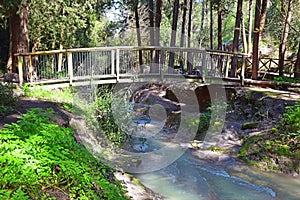 Stream Nahal Hashofet, Ramat Menashe Biosphere Reserve, Israel