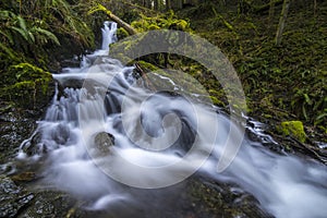 Stream on Orcas Island in the Puget Sound of Washington State.