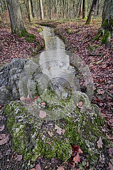 A stream originating from under the rock and disappearing in the woods.