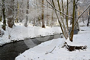The stream Park proceeds on the Central park, Kaliningrad