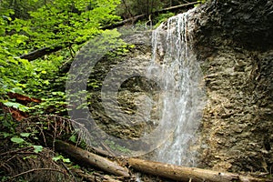 Potok poklidně a pomalu plynoucí lesními oblastmi Národního parku Slovenský ráj