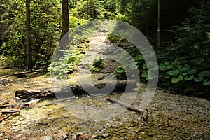 Stream peacefully and slowly flowing through the forest areas of the Slovak Paradise National Park