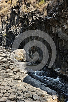 Stream and pond Meshushim in Israel