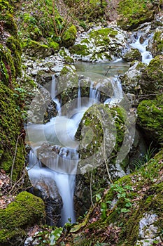 Stream Ponicova, Romania