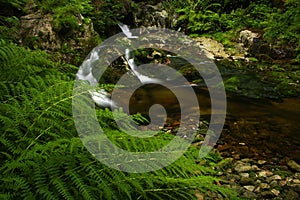 Stream pool in Giant mountains