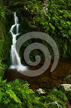 Stream pool in Giant mountains