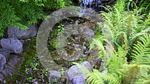Stream of pure and fresh water that falls between the stones in a Japanese garden of Zen style.