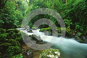 Stream in rain forest, Costa Rica