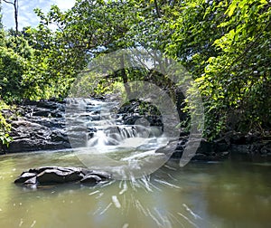 Stream in the rainforest with soft flowing water