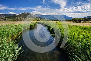 Stream with reeds in a valley landscape in Corsica