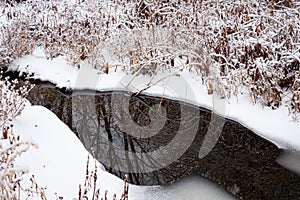 Stream Reflections Of Trees In A winter Snow Scene photo