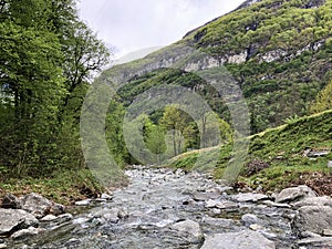 Stream Ri Grande, Bignasco The Maggia Valley or Valle Maggia or Maggiatal photo