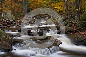 Stream at Ricketts Glen State Park PA