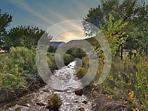 Stream Beside the Rio Chama near Abiquiu, New Mexico