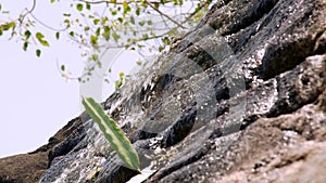 Stream of river water from mountain waterfall flowing on stones close up. Slow motion water flow of mountain river