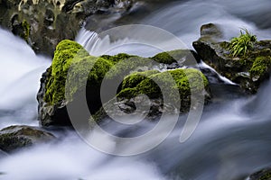 Stream and rocks