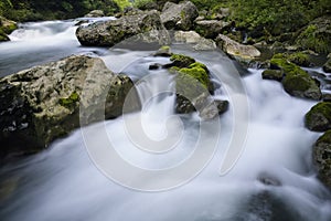 Stream and rocks