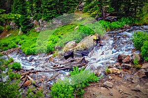 Stream in Rocky mountains