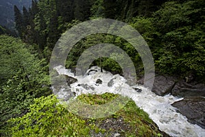 The stream rumbles through the trees