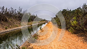 Stream running through a dry meadow