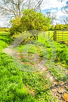 Stream running through a field Chipping Norton