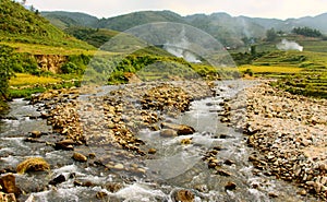 Stream running through rice paddy's Vietnam