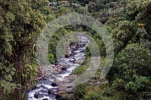 Stream in the Intag Valley