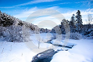 Stream running through a snow covered Wisconsin forest with snow covering the trees in January and a blue sky