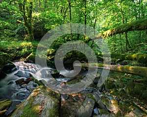 A stream rushes into a steep valley