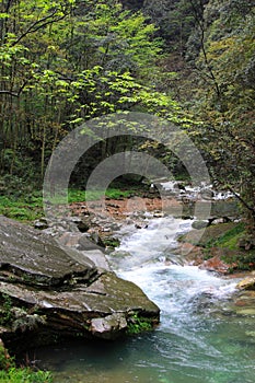 Stream scenery in Zhangjiajie National Geological Park