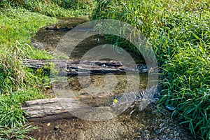 Stream At Seahurst Park