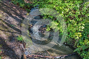 Stream At Seahurst Park