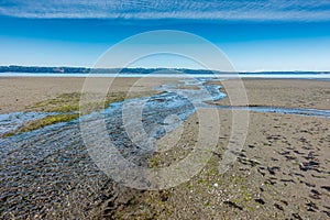 Stream And Shoreline 2